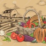 Abonnement grand panier 3 mois